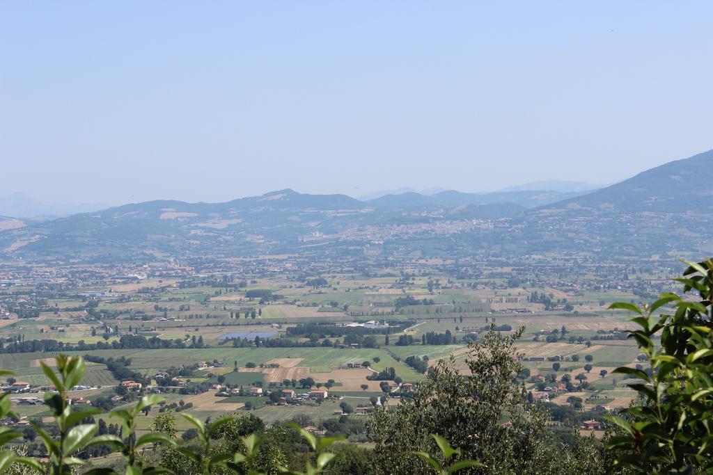 Societa Agricola F.Lli Angelucci Villa Cannara Dış mekan fotoğraf