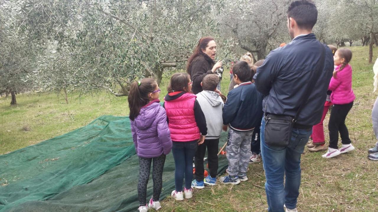 Societa Agricola F.Lli Angelucci Villa Cannara Dış mekan fotoğraf
